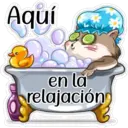 gatitos amorosos 14
