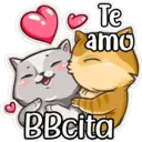 gatitos amorosos 17