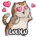 gatitos amorosos 28