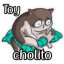 gatitos amorosos 5