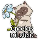 gatitos amorosos 10