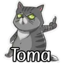 gatitos amorosos 3