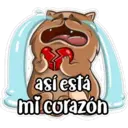 gatitos amorosos 26
