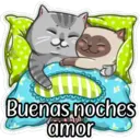 gatitos amorosos 23