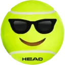 HEAD