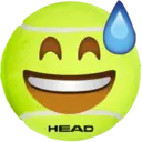 HEAD