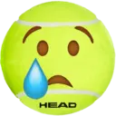 HEAD