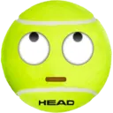 HEAD