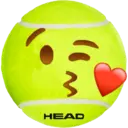 HEAD