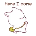 Coelho kawaii 2