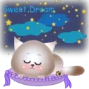 BB Kitten 18