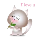 BB Kitten 8