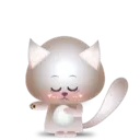 BB Kitten 24