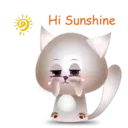 BB Kitten 3