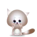BB Kitten 5