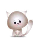 BB Kitten 21