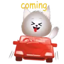 BB Kitten 1
