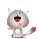 BB Kitten 4