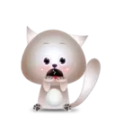 BB Kitten 29