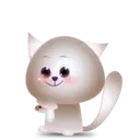 BB Kitten 6