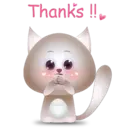 BB Kitten 20