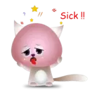 BB Kitten 26