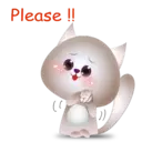 BB Kitten 12