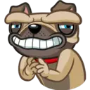 Perro Pug 24