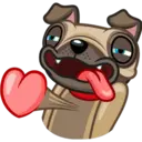 Perro Pug 25