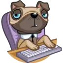 Perro Pug 3