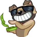 Perro Pug 22