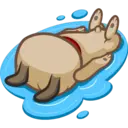 Perro Pug 2