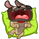 Perro Pug 17