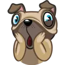Perro Pug 19
