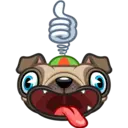 Perro Pug 5