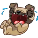 Perro Pug 8