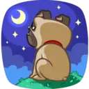 Perro Pug 18