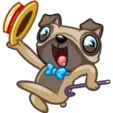 Perro Pug 15