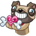 Perro Pug 9