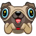 Perro Pug 10