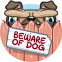 Perro Pug 23