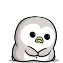 Baby animals 10