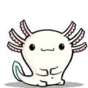 Baby animals 14