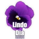 Lindo
Dia
nia