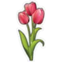 Bonitas Flores 10