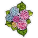 Bonitas Flores 23
