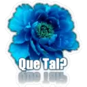 Que Tal?
one 1915