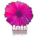 Amén
HICH