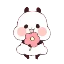 PANDAS mov. 13