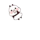 PANDAS mov. 24